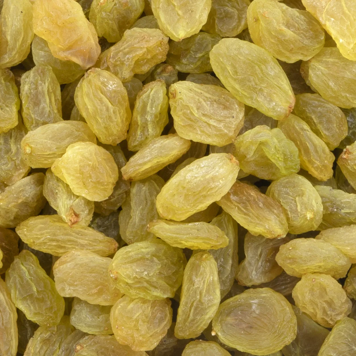 Trusted Raisins Manufacturer & Exporter from Sangli, India